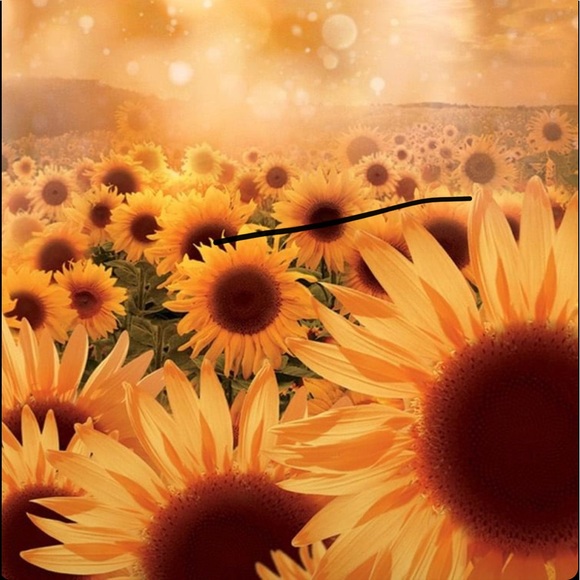 Plus Size Fall Specific Mystery Box or Reseller Inventory - Picture 14 of 15